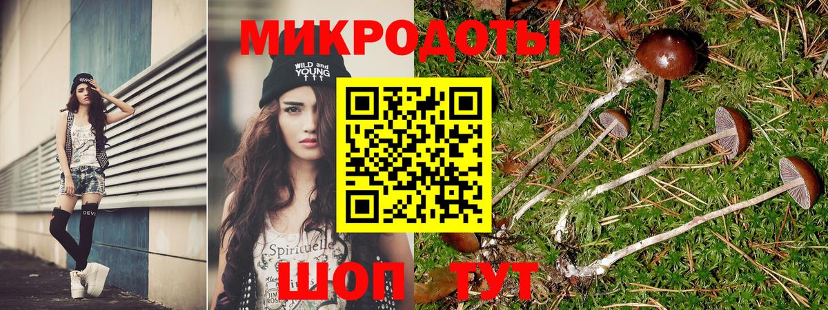 Великий Устюг  Галлюциногенные грибы GOLDEN TEACHER  Вход с VPN  Галлюциногенные грибы мухоморы 